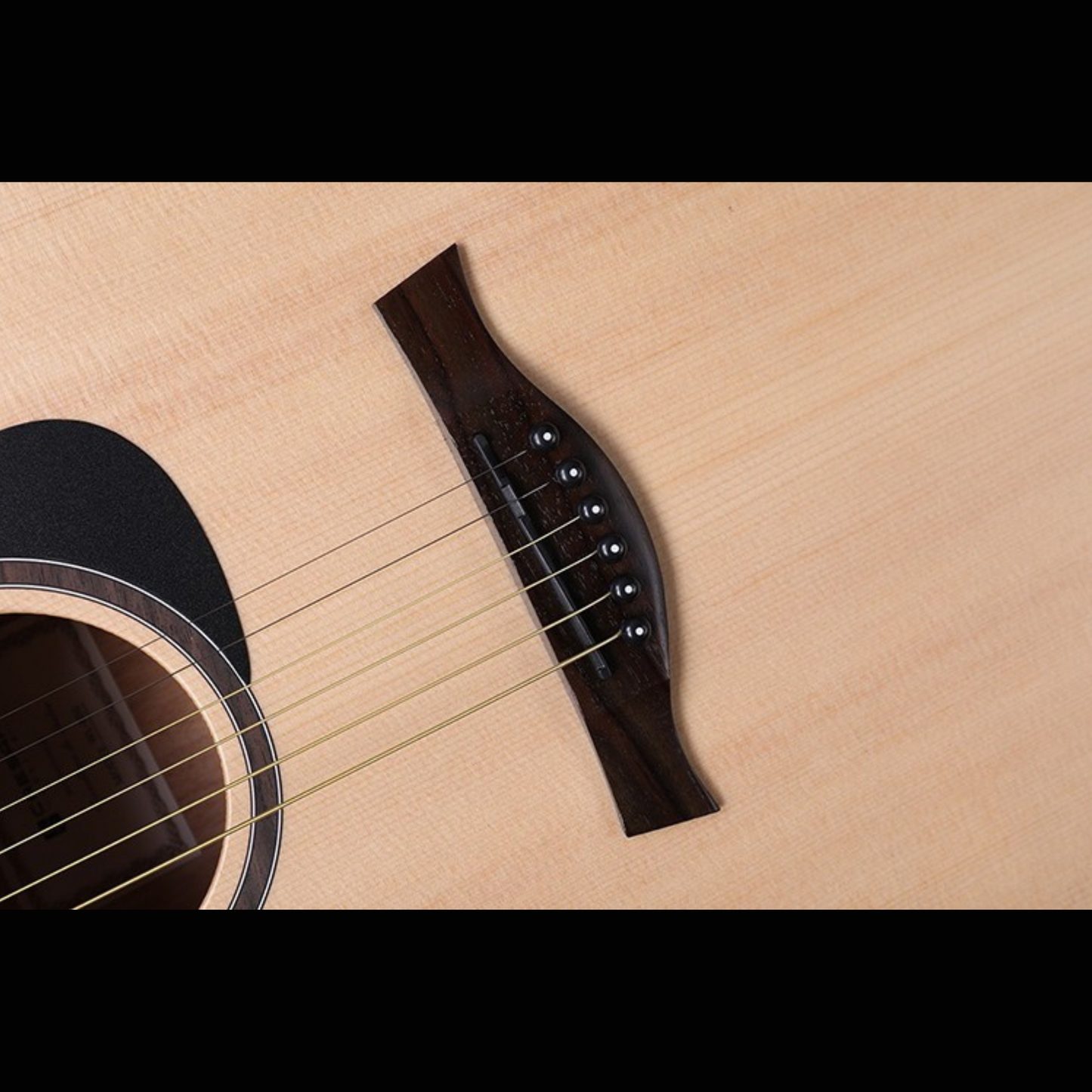 Caesar WL-800 Solid Top Acoustic Guitar