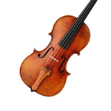 String Instruments