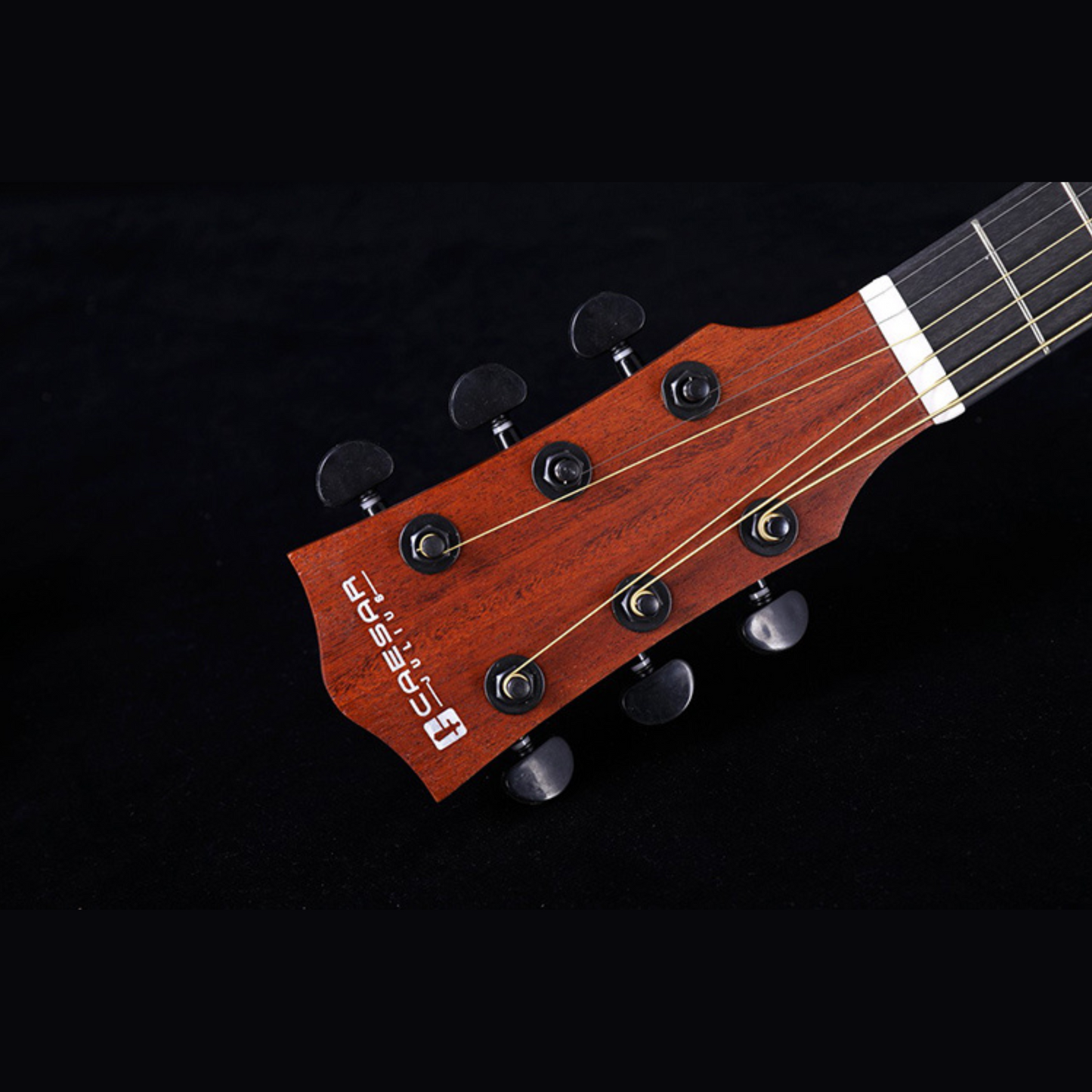 Caesar WL-800 Solid Top Acoustic Guitar