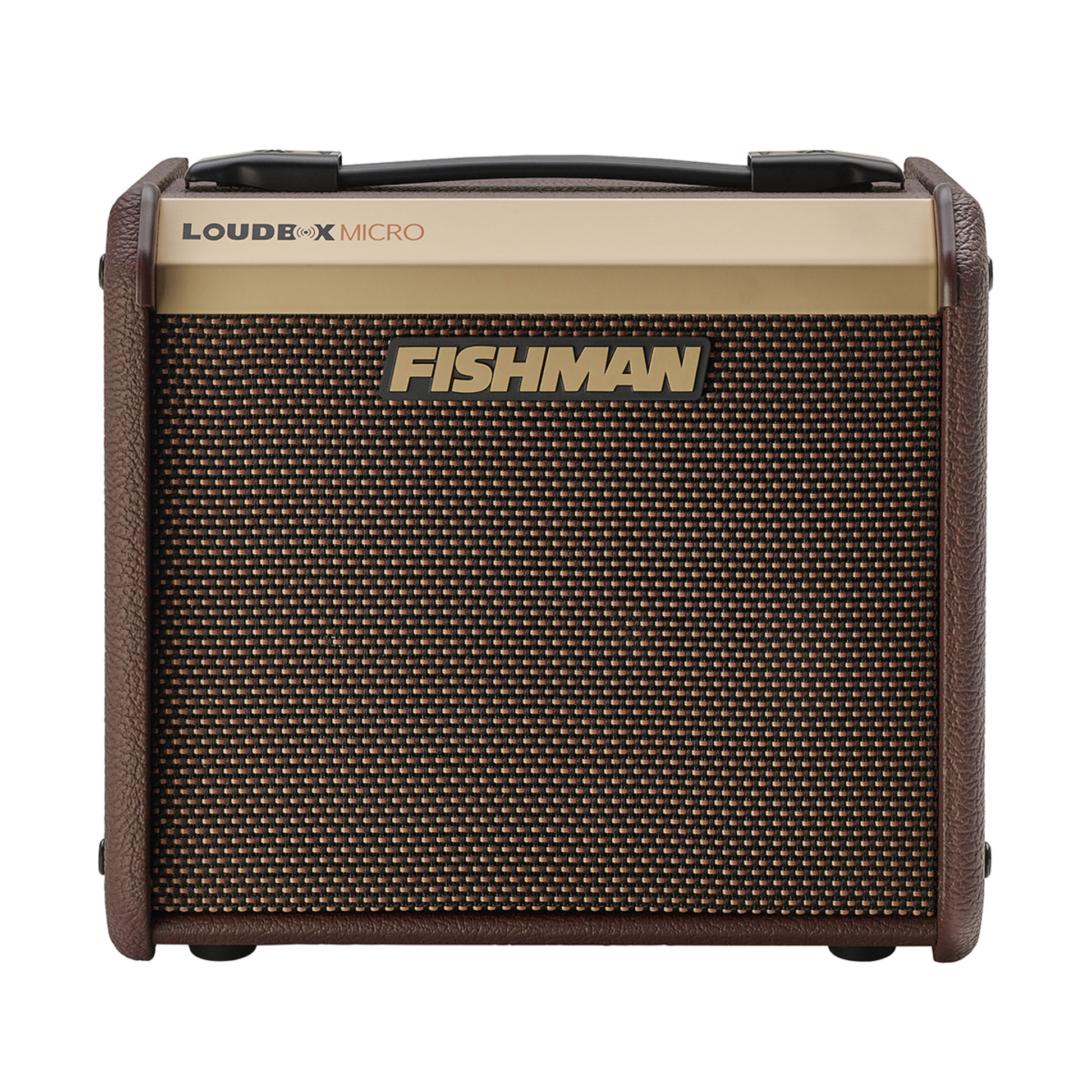 fishman loudbox micro acoustic amplifier