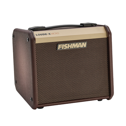 fishman loudbox micro acoustic amplifier