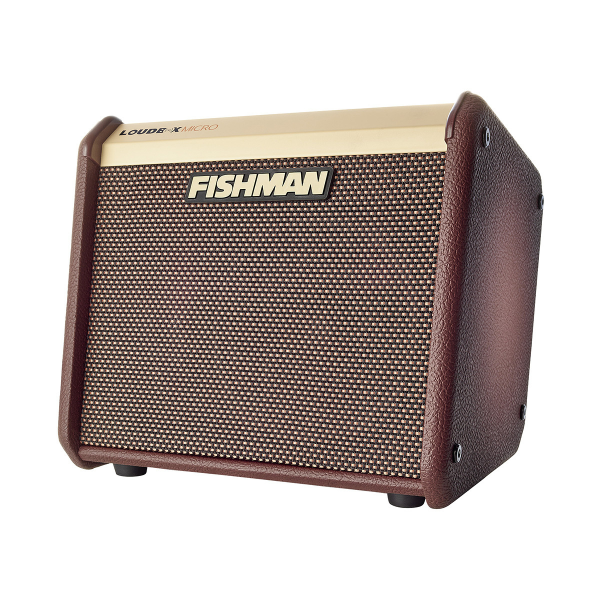 fishman loudbox micro acoustic amplifier