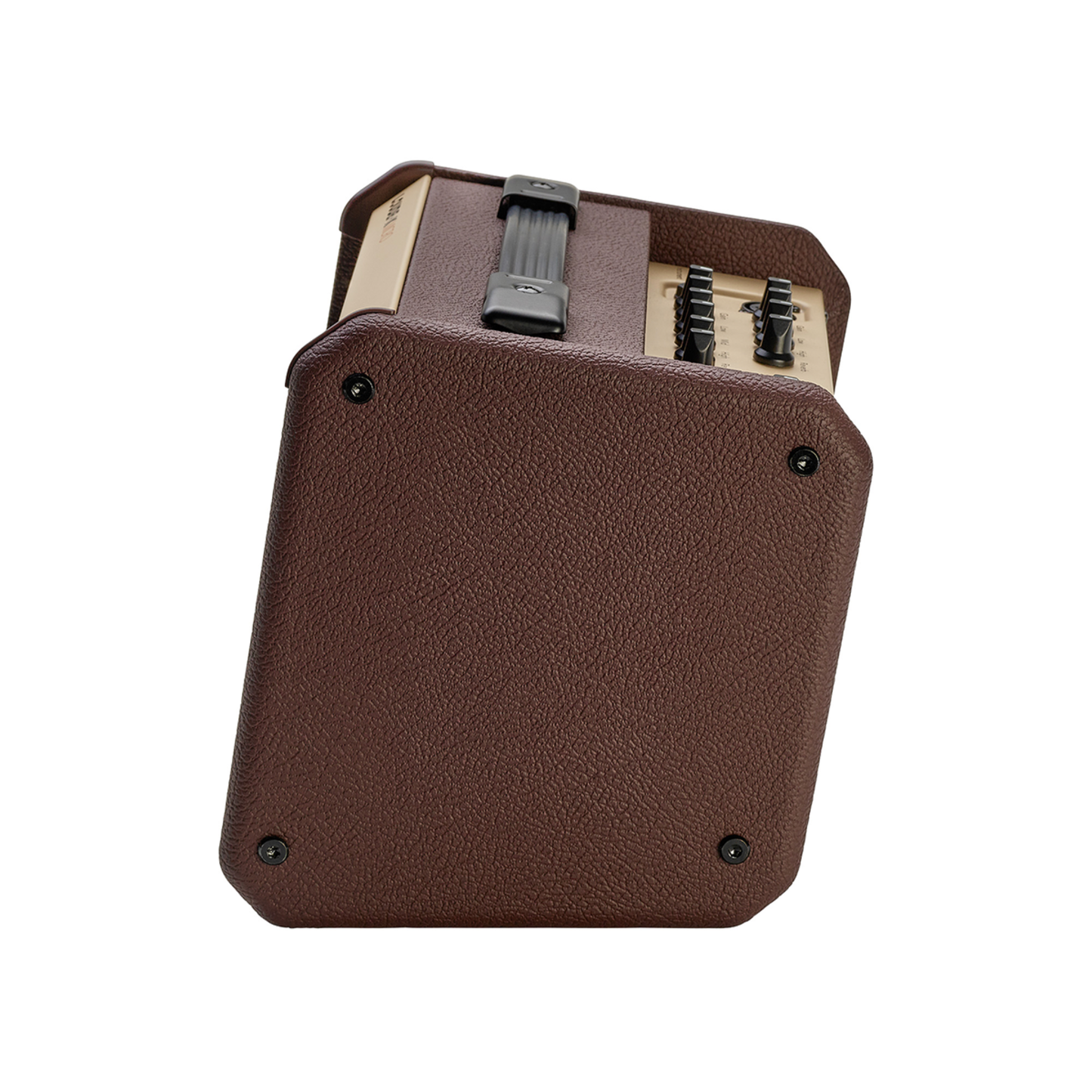 fishman loudbox micro acoustic amplifier