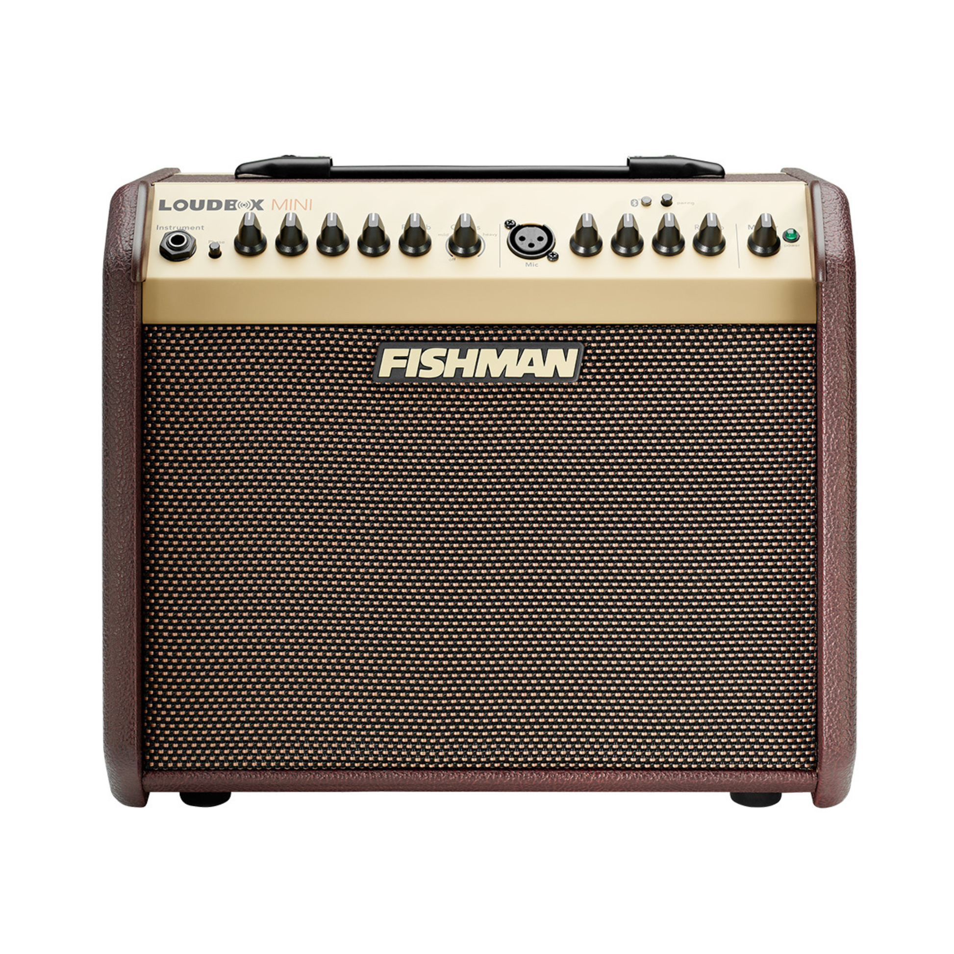 fishman loudbox mini acoustic amplifier