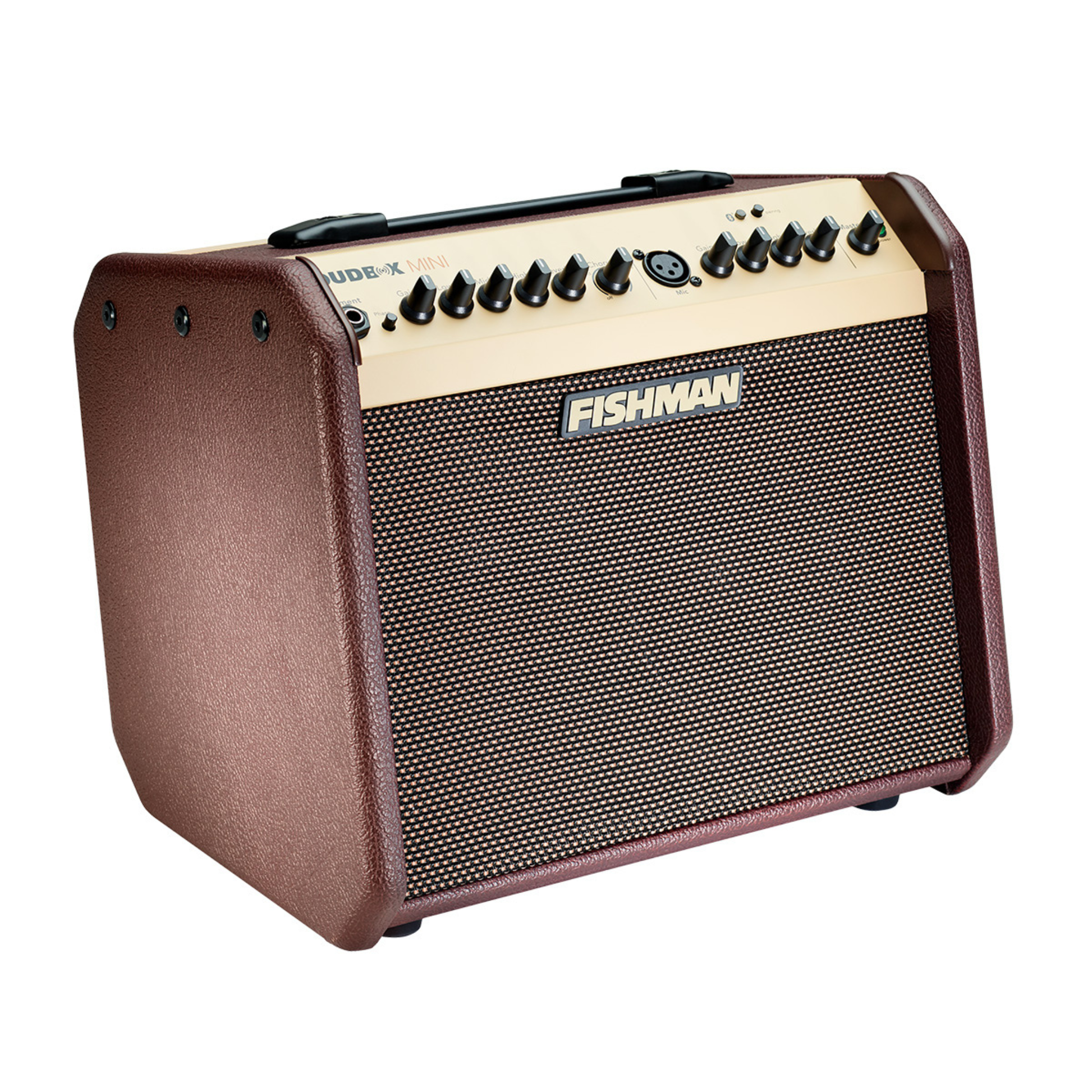 fishman loudbox mini acoustic amplifier