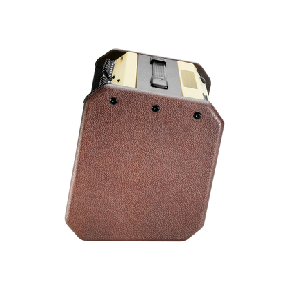 fishman loudbox mini acoustic amplifier