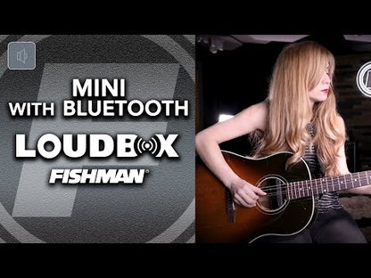 Fishman Loudbox MIni 60W Acoustic Amplifier