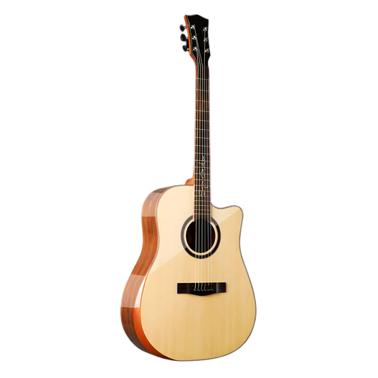 Sqoe SQ-DC-SK Acoustic Guitar